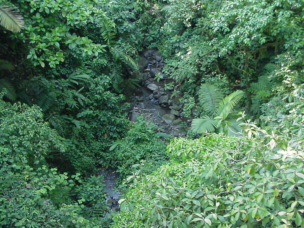 Costa Rica Project Photo